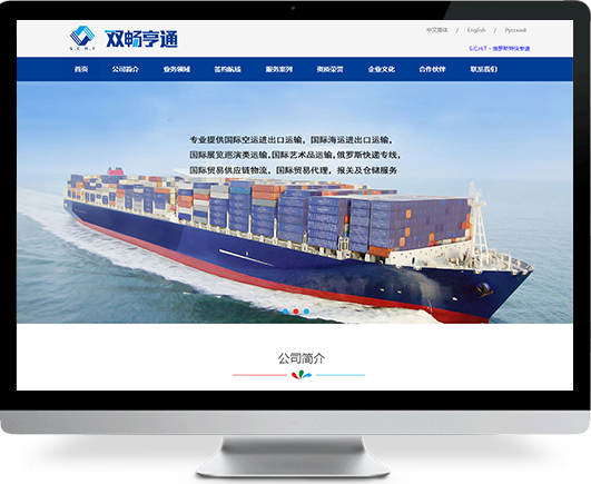 北京（双畅亨通）外贸做网站公司案例